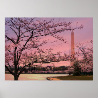 Poster Festival Cherry Blossom du Monument de Washington