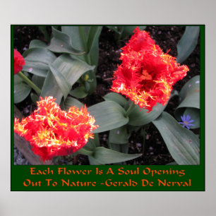 Poster Festival des tulipes de Skagit Valley