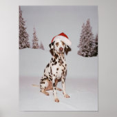 Poster Festive Pup (Devant)