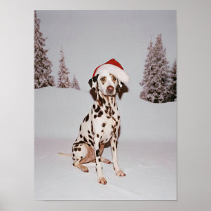 Poster Festive Pup