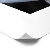 Poster Festive White Cactus (Coin)