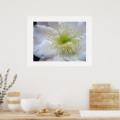 Poster Festive White Cactus (Cuisine)
