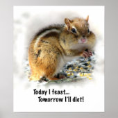 Poster Festoyer Chipmunk (Devant)