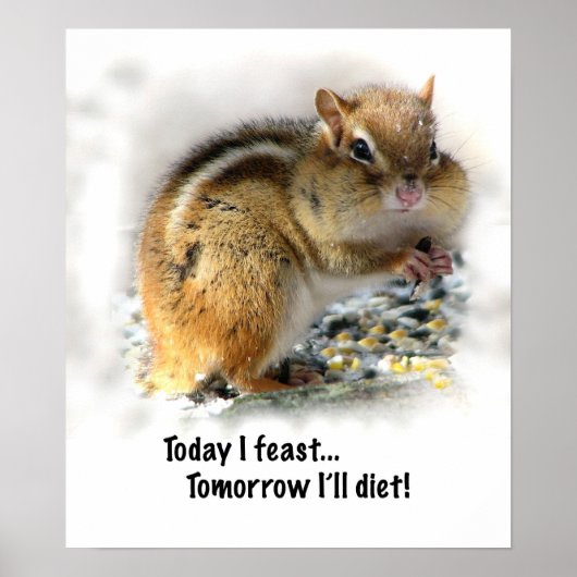 Poster Festoyer Chipmunk (Devant)