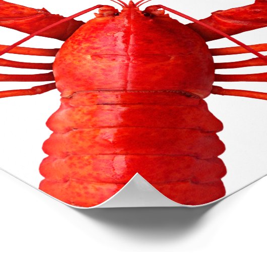 Poster Fête à ébullition de langouste rouge blanc bienven (Coin)