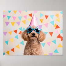 Fête de caniche adorable
