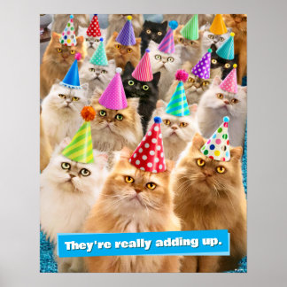 Poster Fête de chats