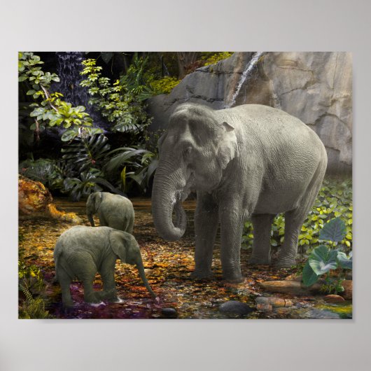 Poster Fête de la famille éléphant dans la forêt tropical (Devant)