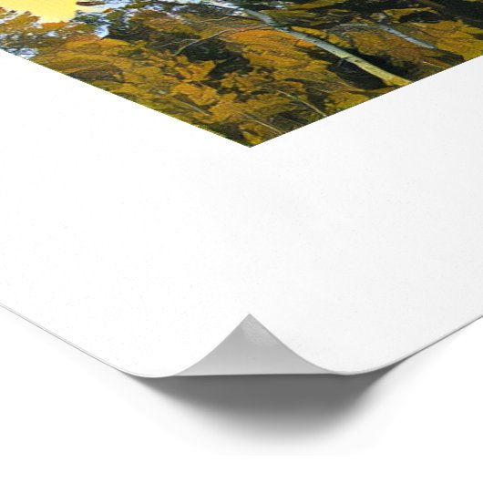 Poster Fête de la tempête (Coin)