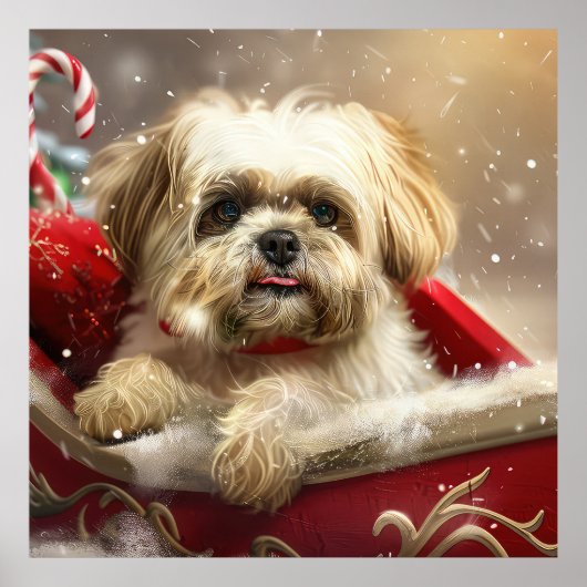 Poster Fête de Noël de Chien Malti Tzu (Devant)