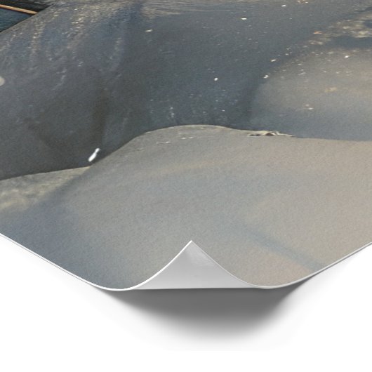 Poster Fête de Noël des Chiens des Pyrénées (Coin)