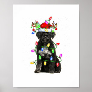 Poster Fête de Noël Eclairage Père Noël Portugais Water D