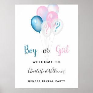 Poster Fête de révélation du sexe garçon fille bleu rose