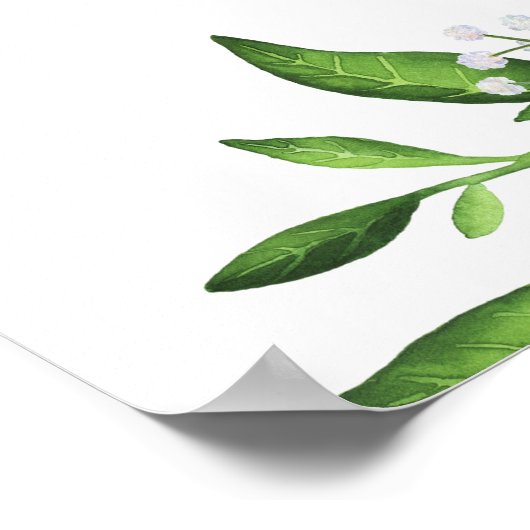 Poster Fête des mariées Oranges et pamplemousses Bienvenu (Coin)