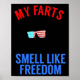 Poster Fête drôle du 4 juillet - T-shirt drôle d'Abe Linc