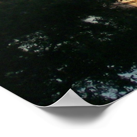 Poster Fête, Floride (Coin)