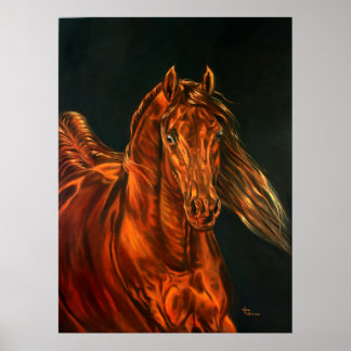 Poster Feu
