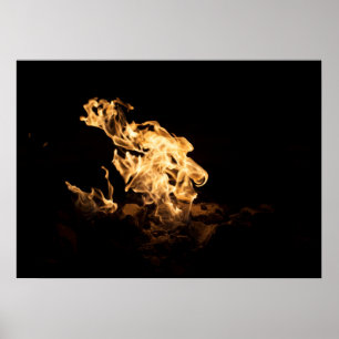 Poster feu