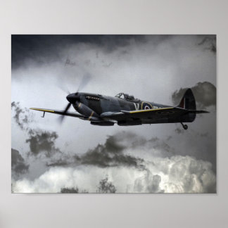 Poster Feu-broche TE311