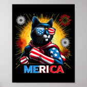 Poster Feu d'artifice Chat noir patriotique Drapeau améri (Devant)