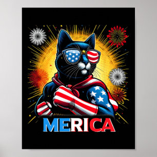 Poster Feu d'artifice Drapeau américain Chat noir patriot