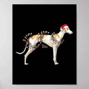 Poster Feu de Noël Casquette de chien Whippet Santa Claus