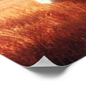 Poster Feu des Prairies et Cheval noir (Coin)