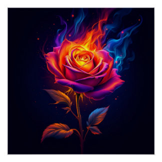 Poster Feu et la Rose