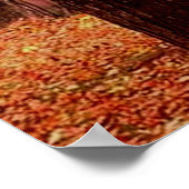 Poster Feu et pluie (Coin)