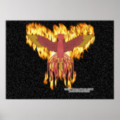 Poster Feu Phoenix (Devant)
