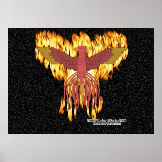 Poster Feu Phoenix (Devant)