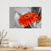 Poster Feu sur les pétales (Cuisine)