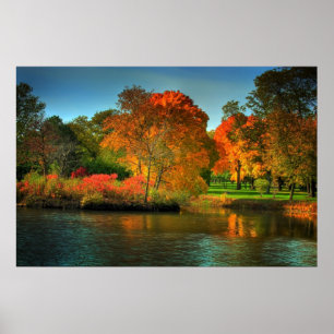 Poster Feuillage d'automne