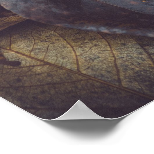 Poster Feuillage d'automne (Coin)