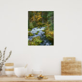 Poster Feuillage d'automne et bordure de sapin de Douglas (Cuisine)