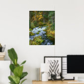 Poster Feuillage d'automne et bordure de sapin de Douglas (Bureau à domicile)