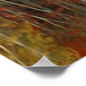 Poster Feuillage d'automne et reflets de bouleau; Hiawath (Coin)