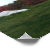 Poster Feuillage d'automne Field Rock Nature Imprimer (Coin)