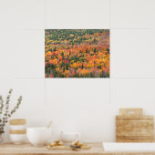 Poster Feuillage d'automne | La péninsule de Keweenaw, Mi (Cuisine)