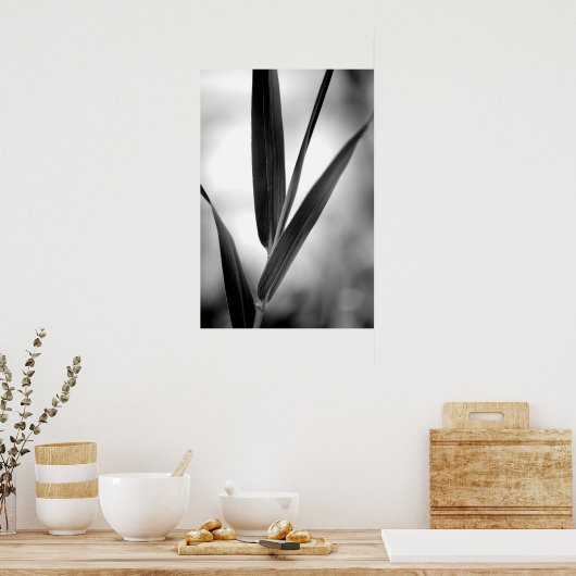 Poster Feuillage de bambou noir et blanc (Cuisine)