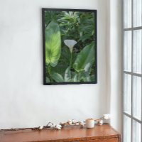 Feuillage et blanc Calla Lily brillant