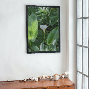 Poster Feuillage et blanc Calla Lily brillant