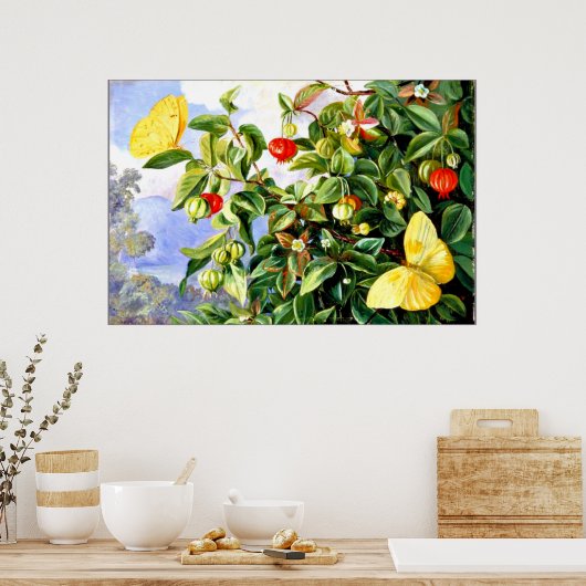 Poster Feuillage, Fleurs et Fruits de Pitanga, Jamaïque (Cuisine)