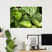 Poster Feuille (Bureau à domicile)