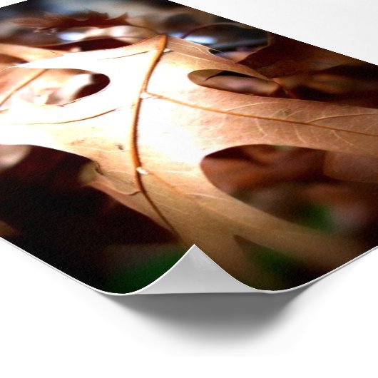 Poster Feuille... (Coin)