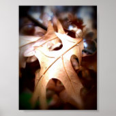 Poster Feuille... (Devant)