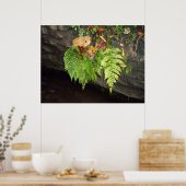 Poster Feuille (Cuisine)