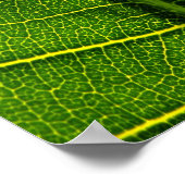 Poster feuille (Coin)