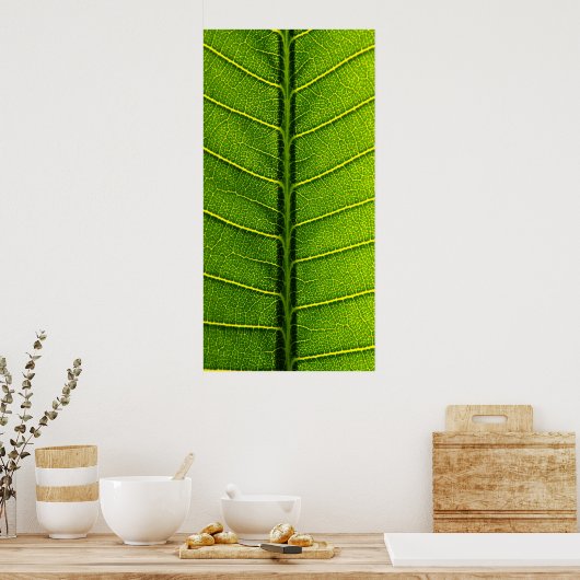 Poster feuille (Cuisine)