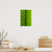 Poster feuille (Cuisine)